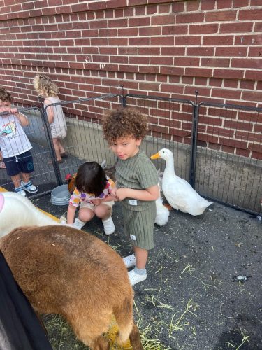 aeef9e4c-b576-4be1-a443-106be2173120